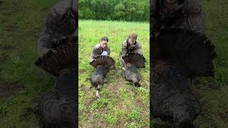 2 turkeys 2 shots 2 secondsIndiana Turkey Hunting hunting huntingseason hunt gun turkey [upl. by Rollin]