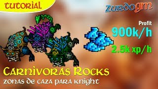 Tibia Guía Knights 400  Carnivoras Rock´s  25kk Exp  900k Profit [upl. by Hyacintha59]