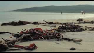 Tiree Music Festival 2013  Official Video [upl. by Ennobe882]