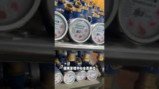 Water meter manufacturer [upl. by Herwig508]