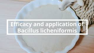 Introduction of Bacillus licheniformis [upl. by Nadabas]