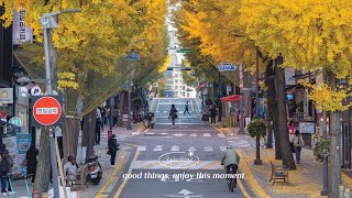 【洋楽playlist】 部屋でかけ流したいお洒落な曲  早起きした朝に聞く気持いい洋楽  🍂 秋の朝にリラックスできる音楽プレイリスト  穏やかなひとときを楽しむ洋楽 作業用BGM [upl. by Renata]