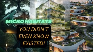 3 Unbelievable micro habitats you never new existedyoutube [upl. by Adnuhsar171]