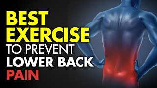 Best Exercise to Prevent Lower Back Pain [upl. by Clifford613]