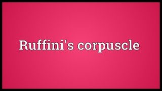 Ruffinis corpuscle Meaning [upl. by Adnert546]