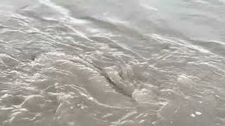 Tidal whirlpools on the Solway Firth at Port Carlisle November 2024  ambient nature sounds [upl. by Johm]