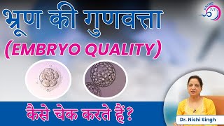 भ्रूण की गुणवत्ता EMBRYO QUALITY कैसे चेक करते हैं  Embryo Grading And Success Rate in IVF [upl. by Aubin]