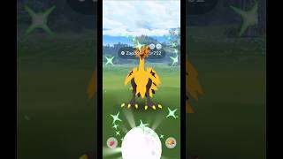 When I Got✨Shiny Galarian Zapdos From eBay😅in pokemongo [upl. by Yengac275]