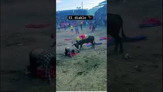 foryou reels trakas luisrconriquez jaripeomexicano mexico [upl. by Lotte]