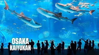 Osaka Aquarium Kaiyukan Walking Tour 2023 4K HDR [upl. by Suoivatra]