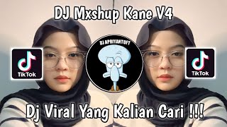 DJ MASHUP KANE V4 VINKY YT  DJ SABAR DULU TAK CUMA BADIAM VIRAL TIK TOK TERBARU 2023  VINKY YETE [upl. by Anile]