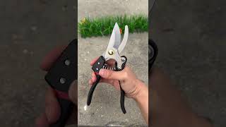 Prune branches with these laborsaving pruning shears Prune branches with these laborsaving pr [upl. by Faust441]