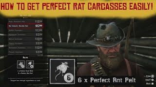 How to get perfect Rat Carcasses easily  Red Dead Redemption 2 [upl. by Arhaz]