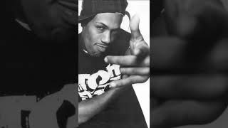 Redman  Da Goodness hiphop oldschool rap [upl. by Nosilla661]