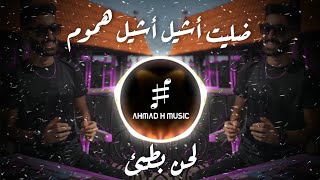 Ya Zina Slowed amp Reverb  أحمد سلمون  ضليت أشيل أشيل هموم [upl. by Honebein]