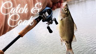 White Bass Catch amp Cook [upl. by Stretch537]