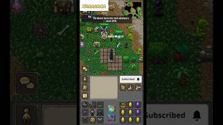 TibiaME  LVL UP 258 Evento Double xp games tibiagame gameplay tibia [upl. by Dettmer]