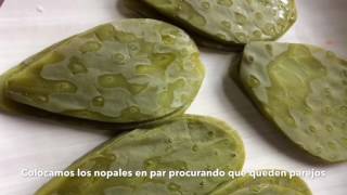 Nopales rellenos capeados receta fácil [upl. by Loesceke980]