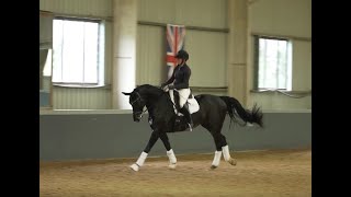 Brett Parbery  Dressage Masterclass  Part 3B [upl. by Ainotahs]