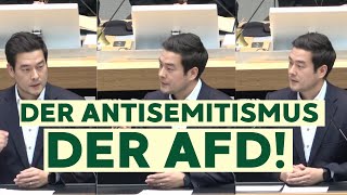 quotDer Antisemitismus der AfDquot  Parlamentsrede von Marcel Hopp SPD [upl. by Adnolehs145]