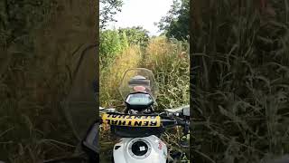 Tall grass no road 🤔 tallgrass trails motorcycleride offroads youtubeshorts shorts [upl. by Alayne511]