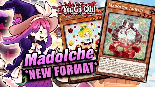 YUGIOH BEST MADOLCHE DECK PROFILE NEW FORMAT INDEPTH PROFILE 2024 [upl. by Alic]