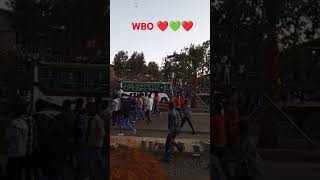 Waan Naga filatanif gudda galatoma WBO koo ❤️💚❤️lofi sadhachaluhundessa viralvideo viralshorts [upl. by Nerfe]