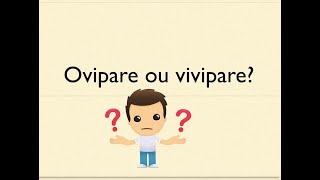 ovipare ou vivipare [upl. by Hatnamas]