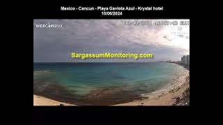 2024 Sargassum Monitoring® Official  UPDATE  Mexico  Cancun [upl. by Aibun]