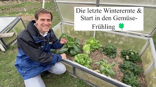 Die letzten WinterErnten  was können wir im Februar noch frisches vom Beet holen [upl. by Eberhart]