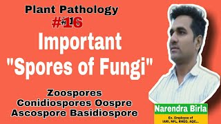 Plant Pathology16।Important Spores of Fungi। Oospre Zygospore Ascospore Basidiospore Zoospores [upl. by Odrawde393]