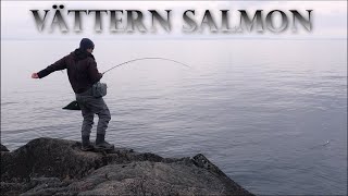 Land based Salmon fly fishing in lake Vättern [upl. by Ovatsug657]