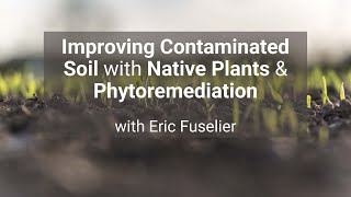 Improving Contaminated Soil with Native Plants amp Phytoremediation with Eric Fuselier [upl. by Orat]