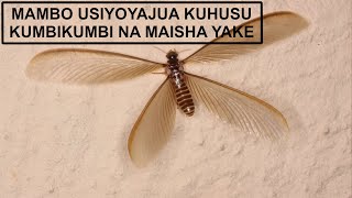 MAMBO USIYOYAJUA KUMBIKUMBI NA MAISHA YAKE [upl. by Ecnerewal]