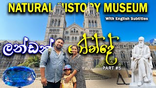 Around London Ep 05 Eng Sub  Natural History Museum එකේ රවුමක් යමු  Vlog 116 historymuseum [upl. by Entirb]