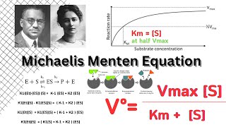 Michaelis Menten Equation  Enzyme Kinetics  Biochemistry [upl. by Agnot]