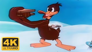 Looney Tunes  Daffys Southern Exposure 1942 Remastered 4K 60FPS [upl. by Hgierb471]