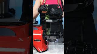 Kale Juicing Made easy with Omega Juicer NC900  Quick Guide [upl. by Tersina]