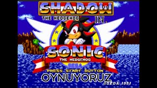 SONIC 1 AMA İÇİNDE SHADOW VARLİNK AÇIKLAMADA [upl. by Dyob]