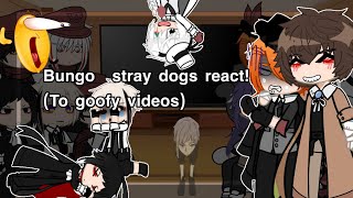 Bungo stray dogs react Not serious read desc [upl. by Rettke]