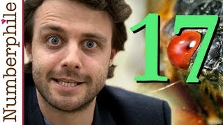 Cicada 17  Numberphile [upl. by Arracahs217]