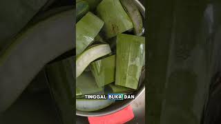 Manfaat Lidah Buaya faktaunik faktamenarik lidahbuaya kesehatan aloevera fyp shorts [upl. by Freeland595]