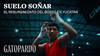 SueloSoñar el resurgimiento del boxeo en Yucatán [upl. by Reltuc]