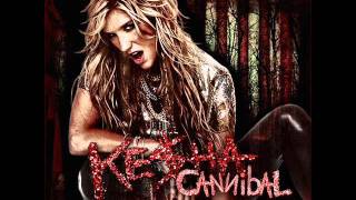 Kesha  Cannibal Remix [upl. by Lind]