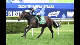 Randwick  3 GROUP 1s  Epsom Handicap The Metropolitan amp Flight Stakes Day Preview [upl. by Ennayoj159]