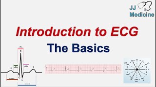 Introduction to ECG  The Basics  ECG Paper PQRST wave Rate Rhythm Axis and Interval [upl. by Kingsley445]