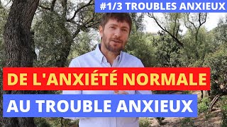 La différence essentielle qui fait passer de lanxiété normale au trouble anxieux 13 [upl. by Bomke]