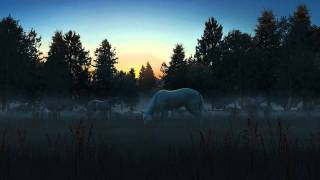 Fog Horses 3D Screensaver [upl. by Gonyea735]