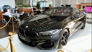 NEW 2019 BMW M850i  First Impressions amp Full Review [upl. by Gaut]