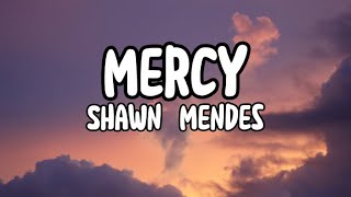 Shawn Mendes  Mercy [upl. by Brasca]